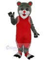 Bear mascot costume