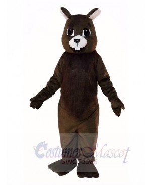 Brown Squirrel Mascot Costumes 