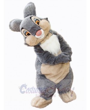 Grey Plush Bunny Mascot Costume Animal