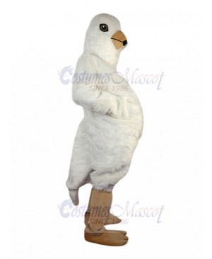 Sedate White Pigeon Mascot Costume Animal