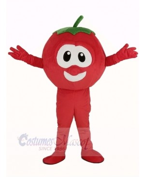 VeggieTales Character Tomato Bob Mascot Costume Cartoon	