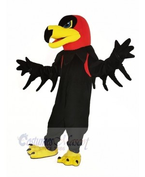 Black Night Hawk Mascot Costume