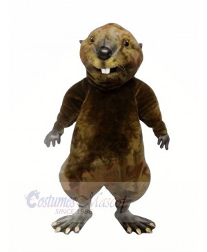 High Quality Otter  Mascot Costumes	