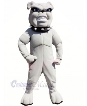 Lightweight Grey Bulldog Mascot Costumes Adult	