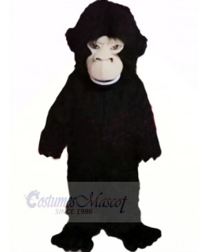 Fierce Black Gorilla Mascot Costumes Cheap