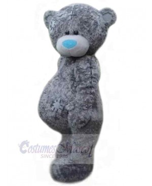 Blue Eyes Gray Bear Bear Mascot Costume For Adults Mascot Heads