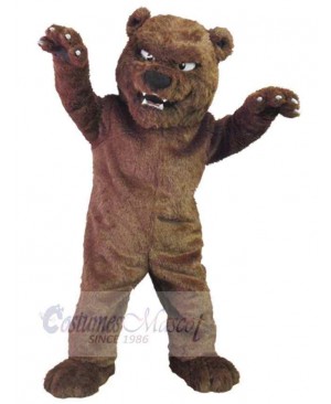 Funny Bear Adult Mascot Costume Animal