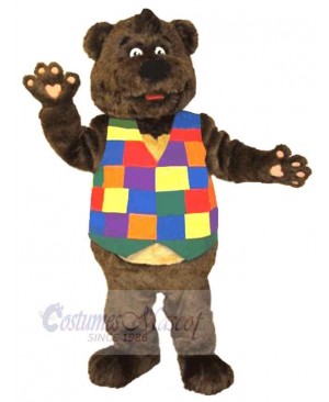 Bear in Colorful Waistcoat Mascot Costume Animal