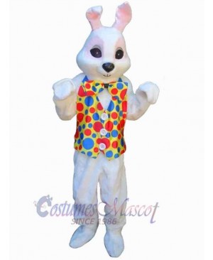 Friendly Easter Bunny Mascot Costume Animal