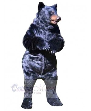 Realistic Wild Bear Mascot Costume For Adults Mascot Heads