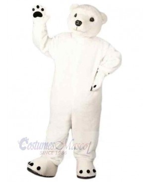 Kindly Polar Bear Mascot Costume For Adults Mascot Heads