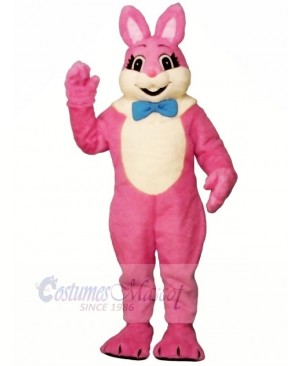 Pink Smiling Bunny Mascot Costumes Cheap