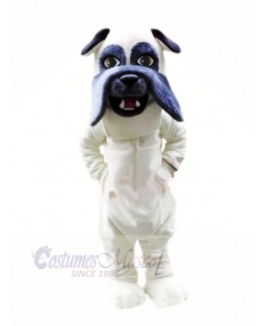 Lightweight White Bulldog Mascot Costumes